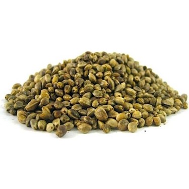 Kuşlar%20İçin%20Kenevir%20Tohumu%20Cedene%201000%20Gr