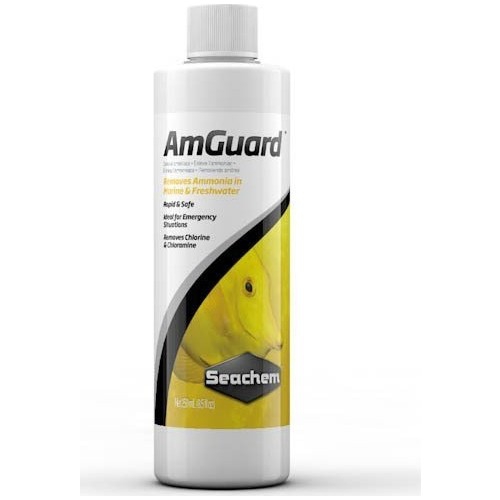 Seachem%20AmGuard%20100Ml.