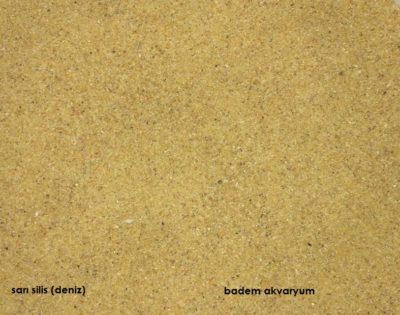 Akvaryum%20Sarı%20Silis%20Kum%200,1%20mm%20%20Deniz%20Kum%20İnce%201%20Kg