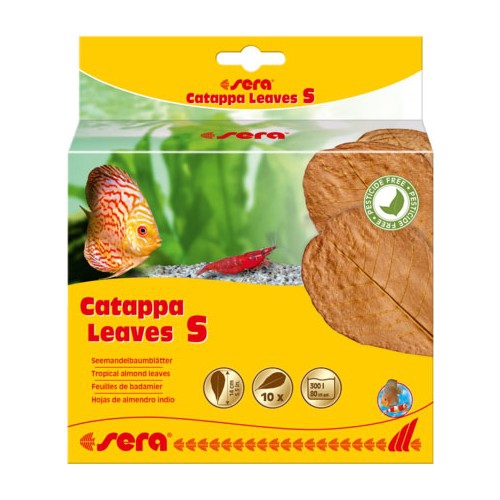 Sera%20Catappa%20Leaves%20Hint%20Bademi%20Yaprağı%20S%2014%20Cm%20(10%20Adet)