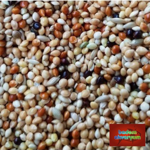 Karışık%20Muhabbet%20Kuşu%20Yemi%2010%20Kg%20Kaliteli