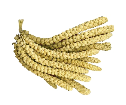 Doğal%20Dal%20Darı%20Sarı%20Dal%20Darı%20100%20Gr