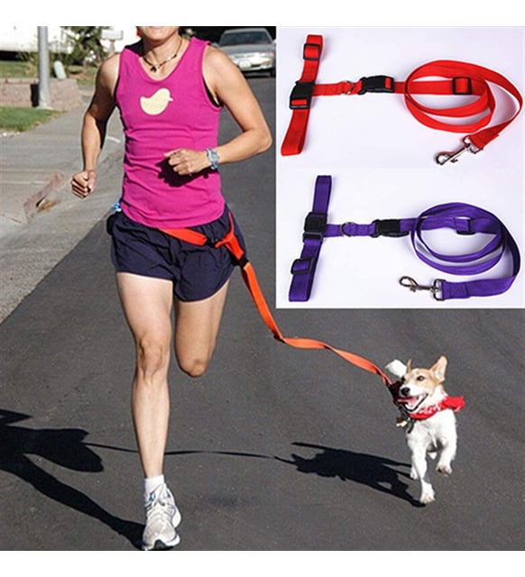 Koşu%20Tasması%20Eller%20Serbest%20Köpek%20Gezdirme%20Bel%20Koşu%20Tasması