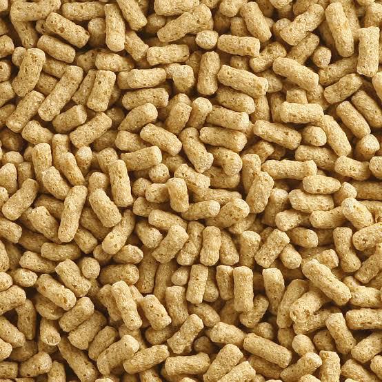 Japon%20Balığı%20Yemi%20Sade%20100%20gr