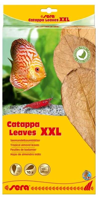 Sera%20Catappa%20Yaprağı%20XXL%2032%20cm%2010%20Adet