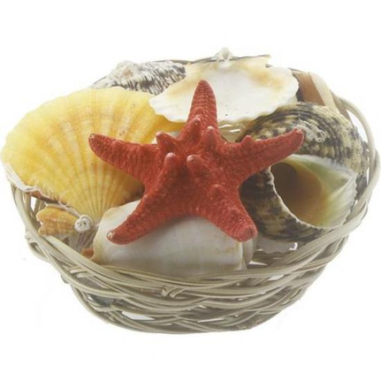 Badem Akvaryum Karışık Deniz Kabuğu Sepeti