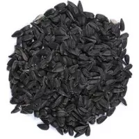 Sıyah Çekırdek Küçük Paraket Çekirdeği 1 Kg