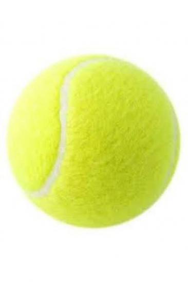 Köpek Oyuncağı 1 Adet Sarı Tenis Topu