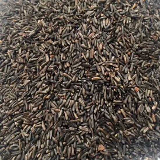 Nijer Tohumu Kuşlar İçin Nijer Tohum Yemi Kızıştırıcı Yem 500 Gram
