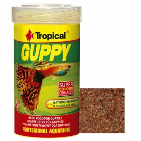 Tropical Guppy 100Ml 20Gr