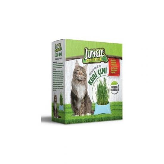 Jungle Kedi Çimi