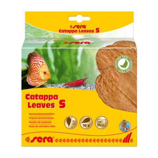 Sera Catappa Leaves Hint Bademi Yaprağı S 14 Cm (10 Adet)