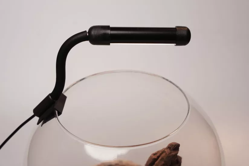 Orionled Nano Fanus Mini Siyah 2W 2 Renkli