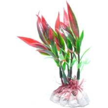 Akvaryum Dekor Plastik Bitki Karışık Renkli 10cm