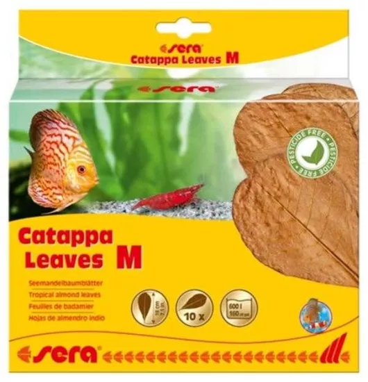 Sera Catappa Yaprağı Medium 18 cm 10 Adet