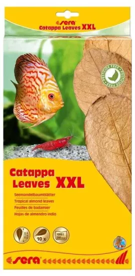 Sera Catappa Yaprağı XXL 32 cm 10 Adet