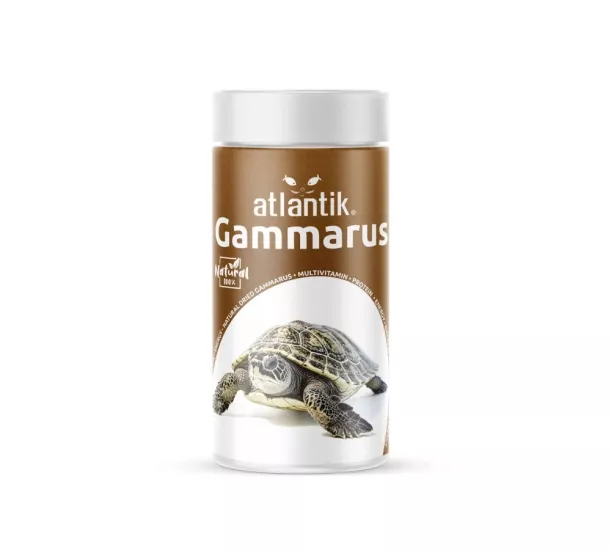 Atlantik Gammarus Doğal Kurutulmuş Karides 100