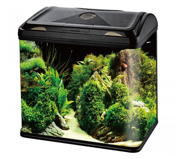 İthal Akvaryum RS-600EL (60,5*36,5*56 CM)