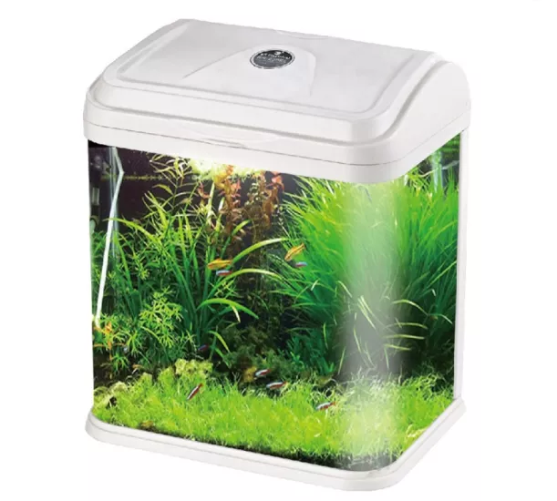 İthal Akvaryum Rs-230EL (23,5*17*28 Cm)