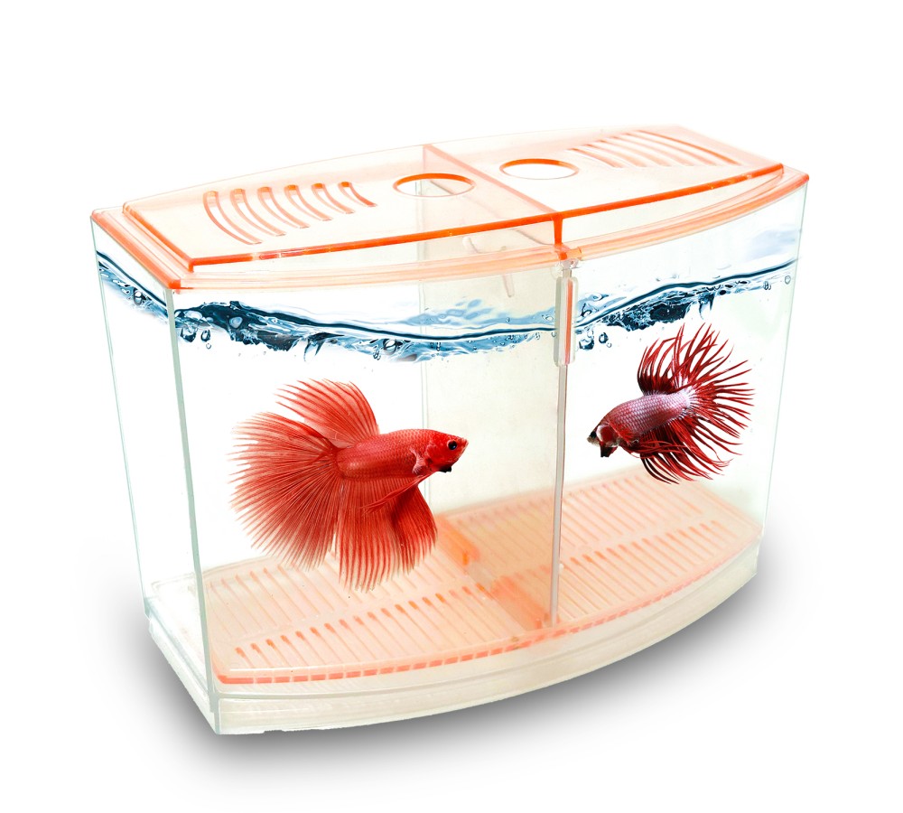 Atlantik%20Betalık%209X19X14Cm%201800%20Ml%20Beta%20Tank