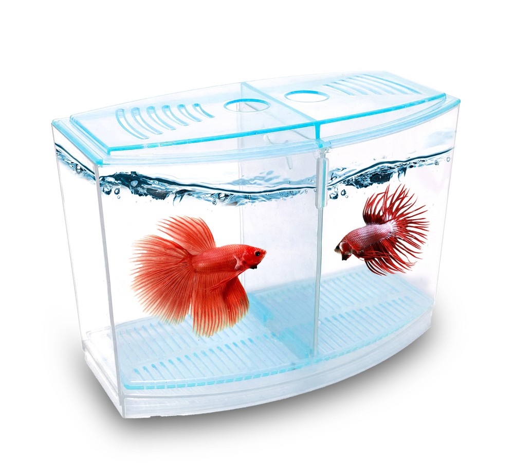 Atlantik%20Betalık%209X19X14Cm%201800%20Ml%20Beta%20Tank